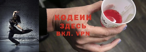 гашик Балахна