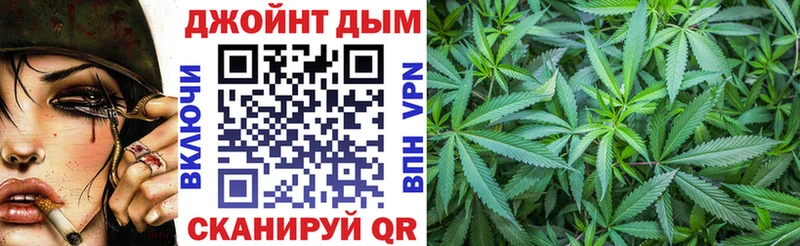 Бошки Шишки ГИДРОПОН Светогорск